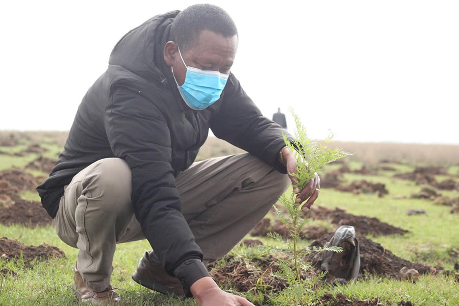 4 Planting trees and Promoting a Healthy Community