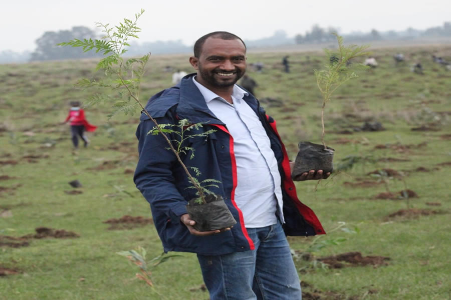 6 Planting trees and Promoting a Healthy Community